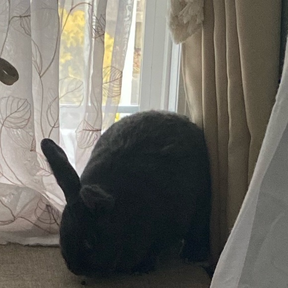 About me - Picture 1 of 1